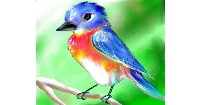 Drawing of Bird by Audrey