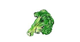 Drawing of Broccoli by Shanthini