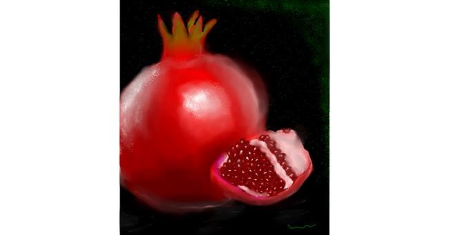 Drawing of Pomegranate by Linky