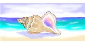 Drawing of Seashell by Debidolittle