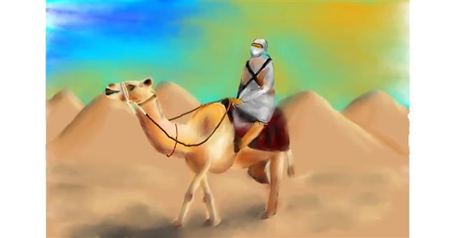 Drawing of Camel by Wizard