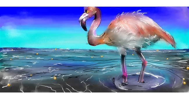 Flamingo - autor: Mandy Boggs