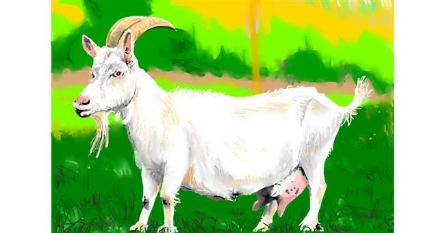 Drawing of Goat by flowerpot