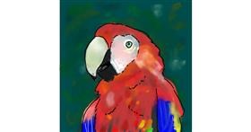 Drawing of Parrot by TedsNan