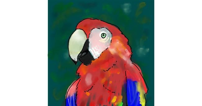 Drawing of Parrot by TedsNan