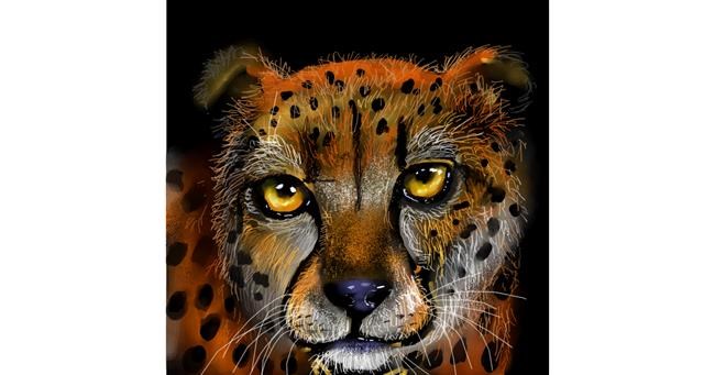 Drawing of Cheetah by Leah