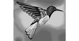 Drawing of Hummingbird by ImagineBastille