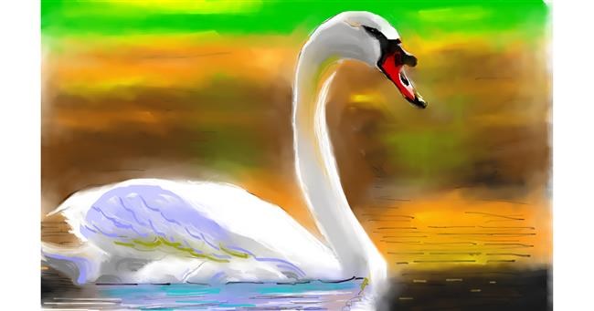 Drawing of Swan by Herbert