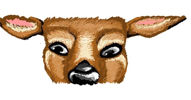 Drawing of Deer by Whispful