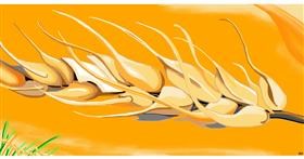 Drawing of Wheat by Swimmer 
