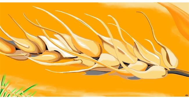 Drawing of Wheat by Swimmer 