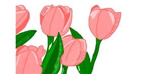 Drawing of Tulips by Нямка 