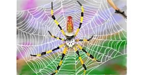 Drawing of Spider by Abbie