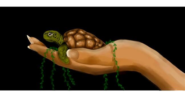 Schildkröte-Zeichnung von Annie