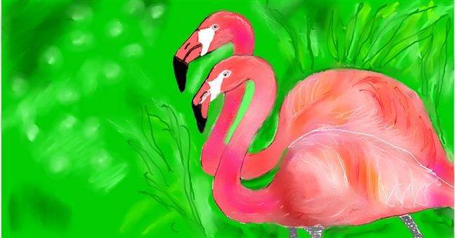 Flamingo - autor: Maggy