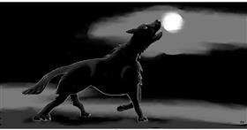 Drawing of Wolf by Swimmer 