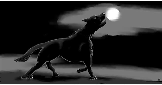 Drawing of Wolf by Swimmer 