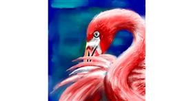 Flamingo - autor: ⋆su⋆vinci彡