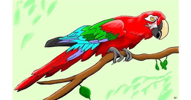 Drawing of Parrot by flowerpot