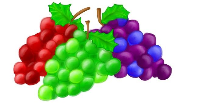 Drawing of Grapes by shelby