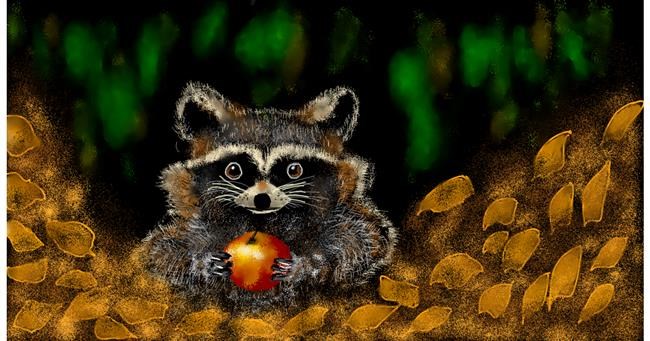 Drawing of Raccoon by Eclat de Lune