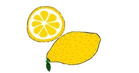 Drawing of Lemon by Lilli