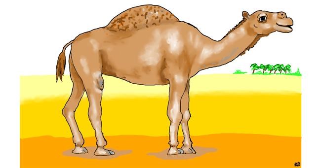 Drawing of Camel by flowerpot