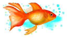 Drawing of Goldfish by DebbyLee