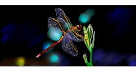 Drawing of Dragonfly by Chaching