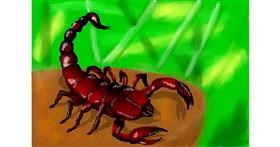 Drawing of Scorpion by Zi