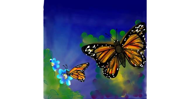 Drawing of Butterfly by Naaz