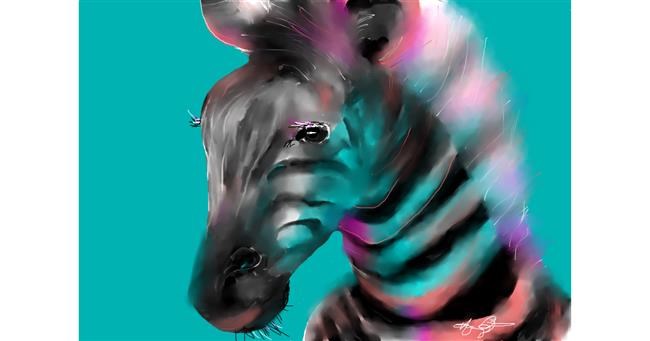 Zebra - autor: Mandy Boggs