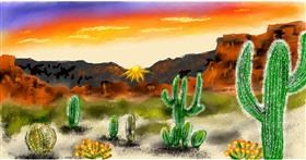 Drawing of cactus by Eclat de Lune