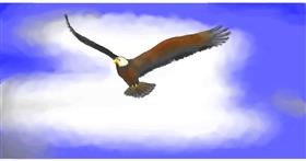 Drawing of Eagle by Pinky