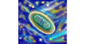 Drawing of Bacteria by Pam