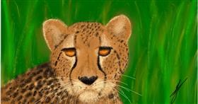 Gepard - autor: DElfinis