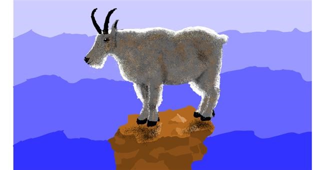 Drawing of Goat by Sam