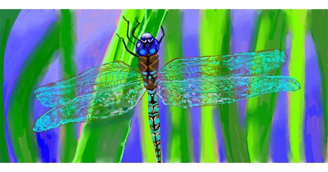 Drawing of Dragonfly by Ghost