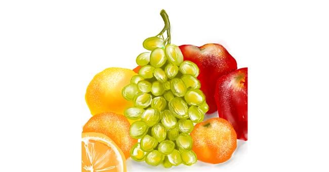 Drawing of Grapes by ⋆su⋆vinci彡