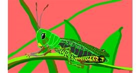 Drawing of Grasshopper by flowerpot