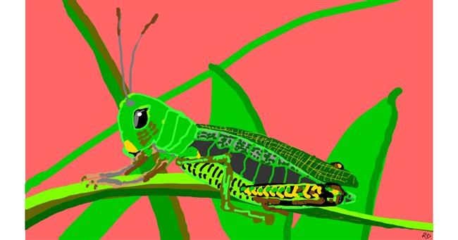 Drawing of Grasshopper by flowerpot