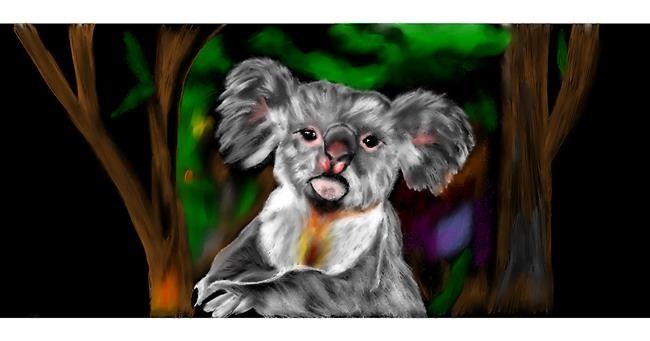 Drawing of Koala by Chaching