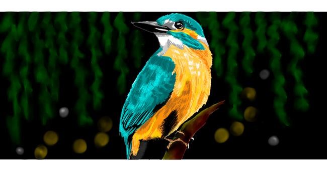 Drawing of Bird by Annie