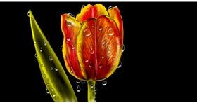 Drawing of Tulips by Eclat de Lune