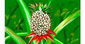 Drawing of Pineapple by flowerpot