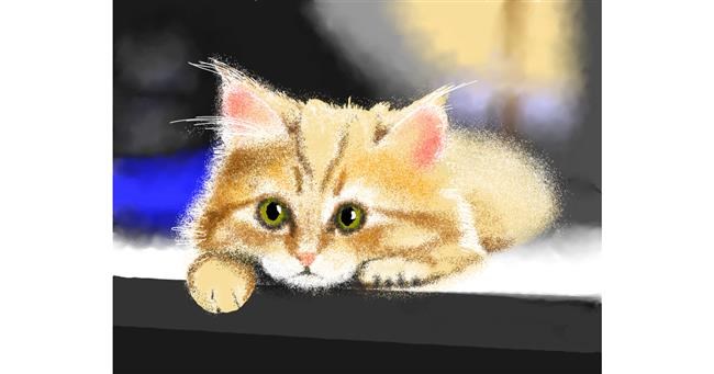 Drawing of Kitten by Lucio