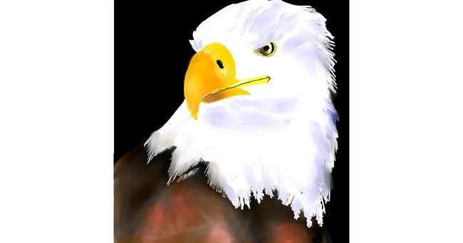 Drawing of Eagle by TedsNan