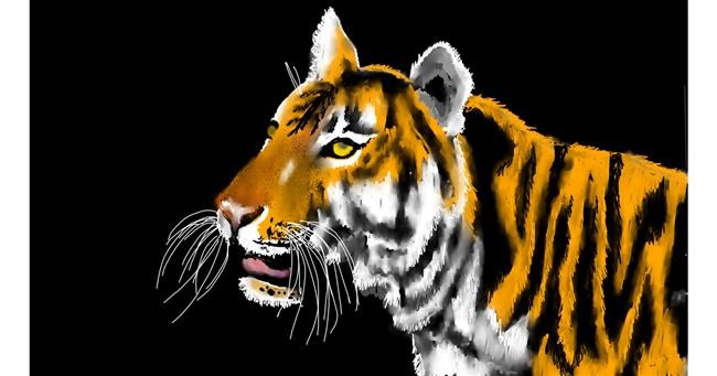 Drawing of Tiger by SAM AKA MARGARET 🙄