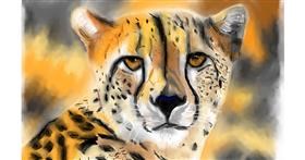 Drawing of Cheetah by Herbert