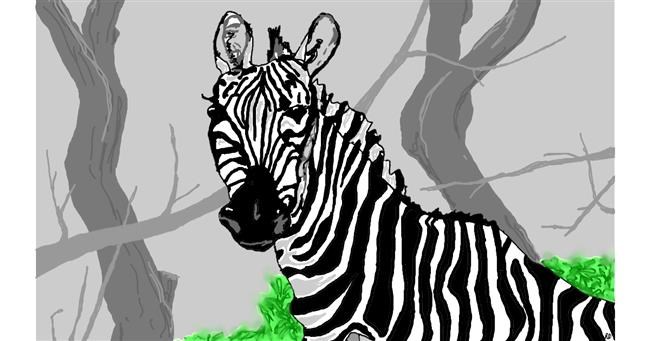 Drawing of Zebra by flowerpot